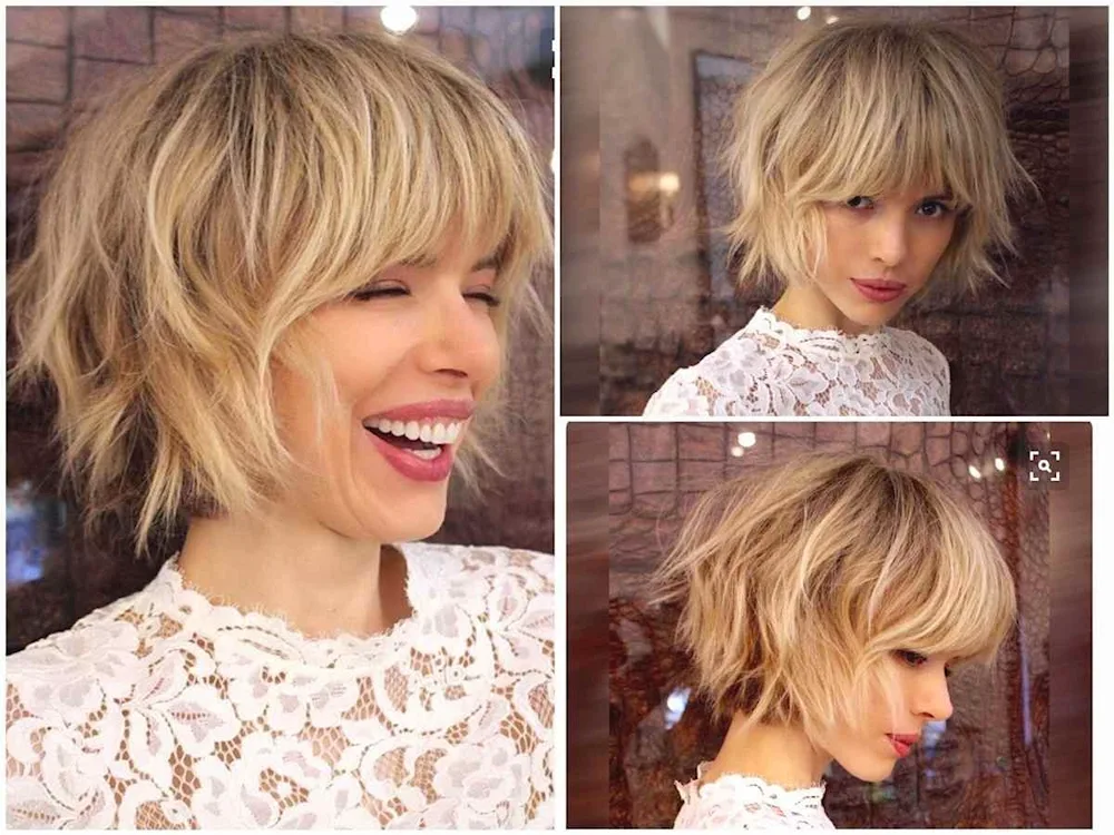 Graduated Pixie Bob