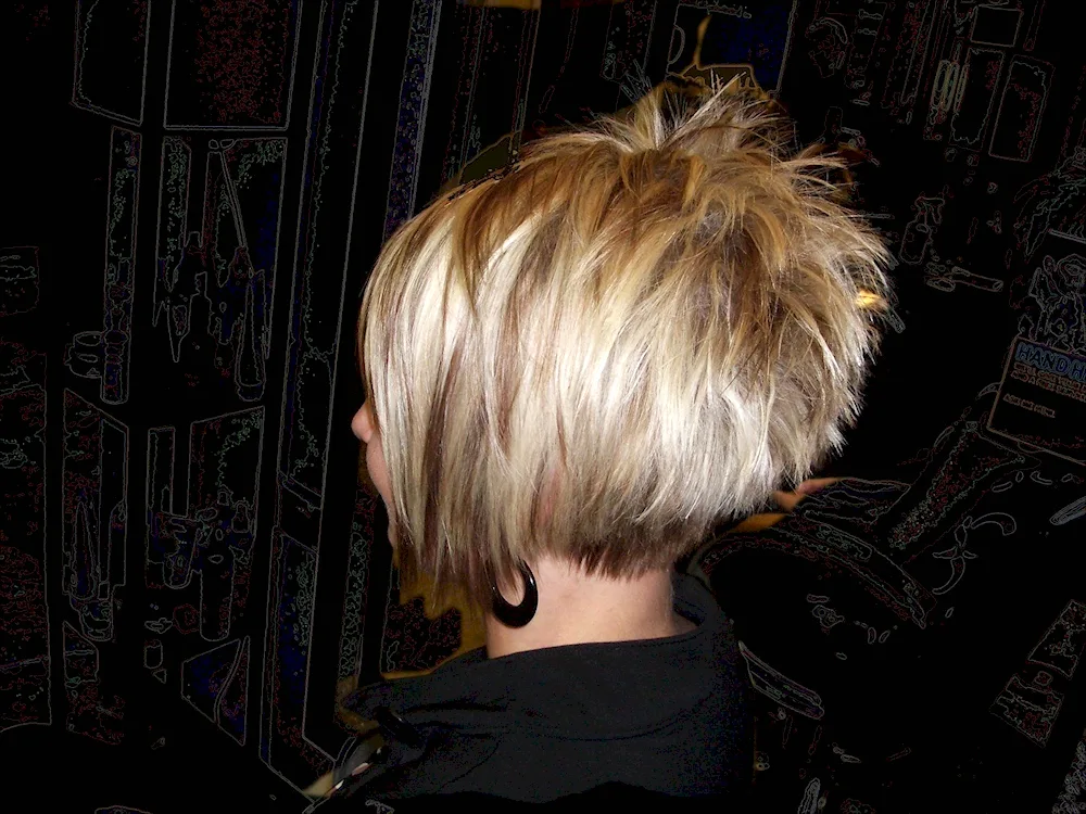 Pixie mallet haircut