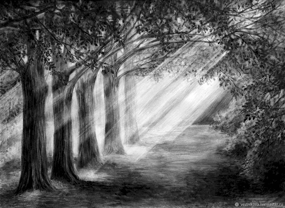 Pencil landscape in simple pencil