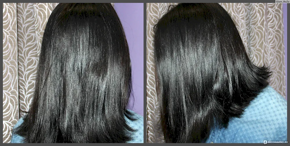 Graphite chestnut 4-50