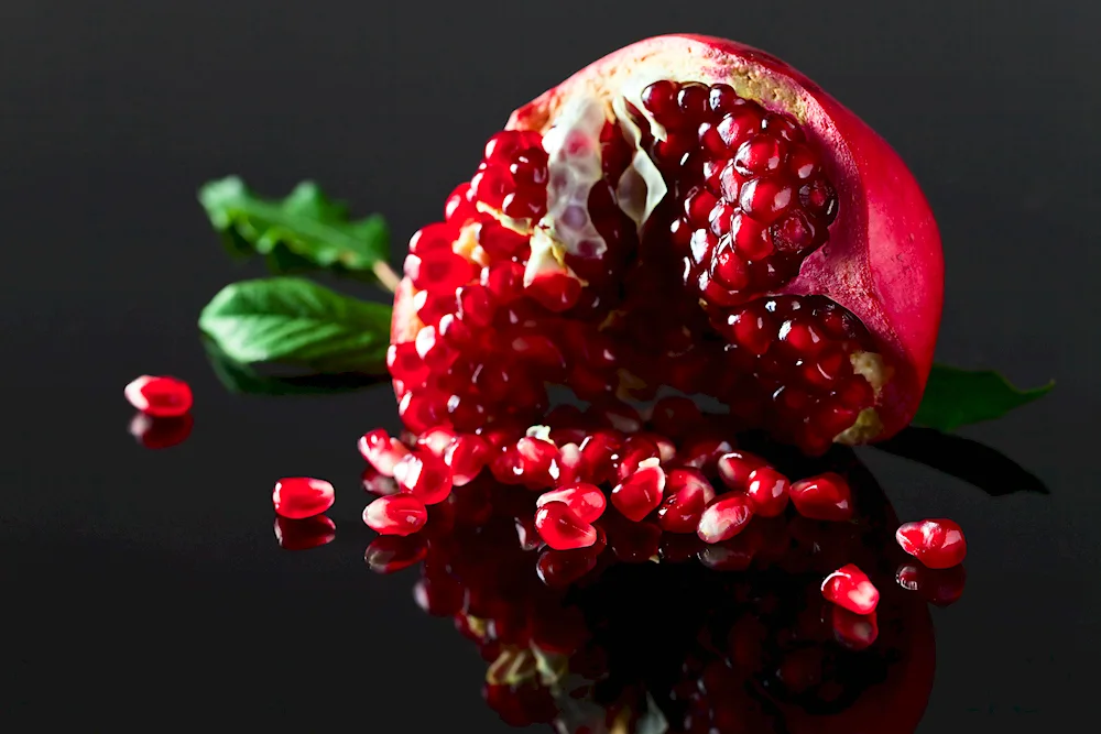 Pomegranate Legrelle