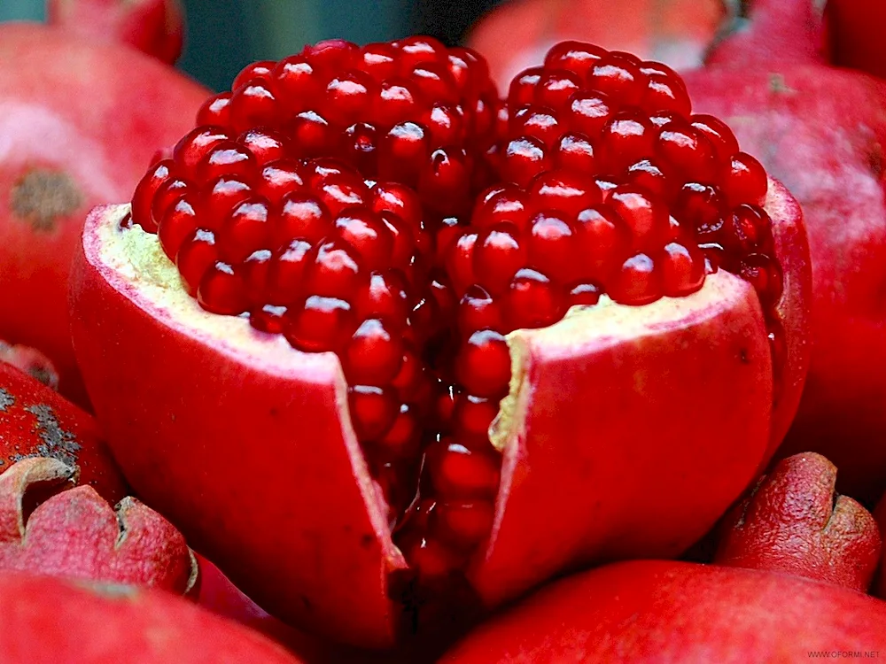 Fruit Vietnam pitahaya