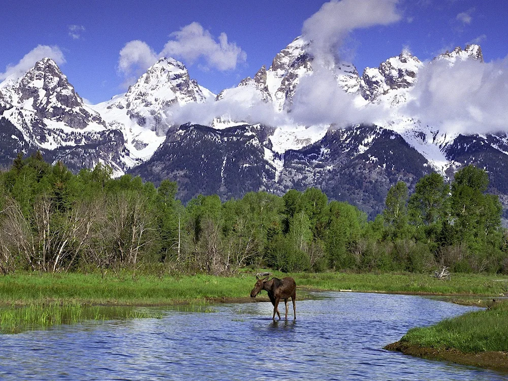 Grand- Titon Wyoming