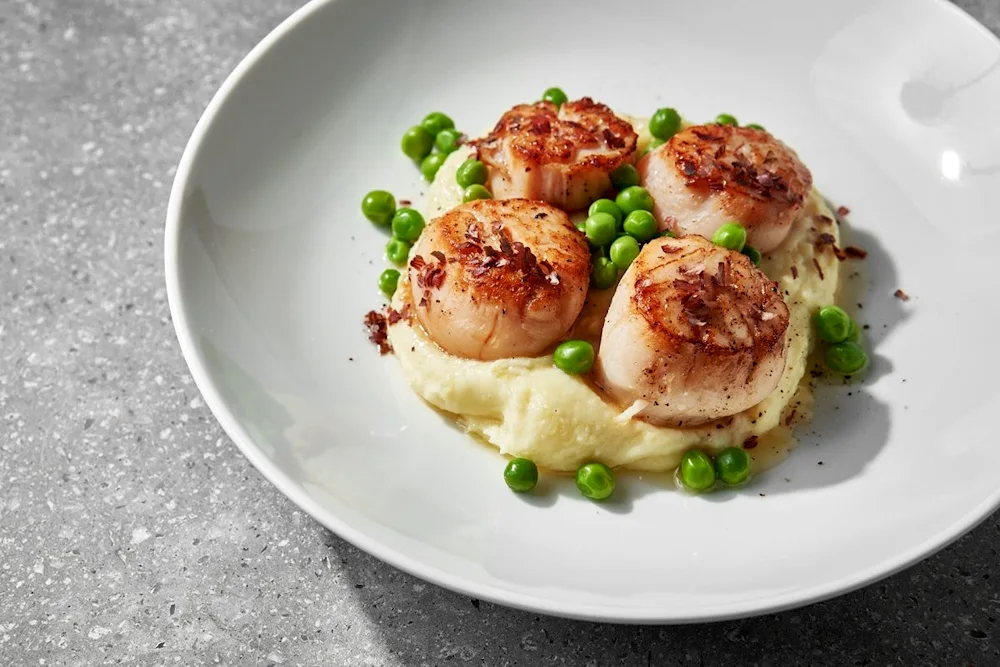 Scallops scallops