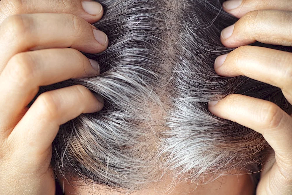 Silver syster grey hair