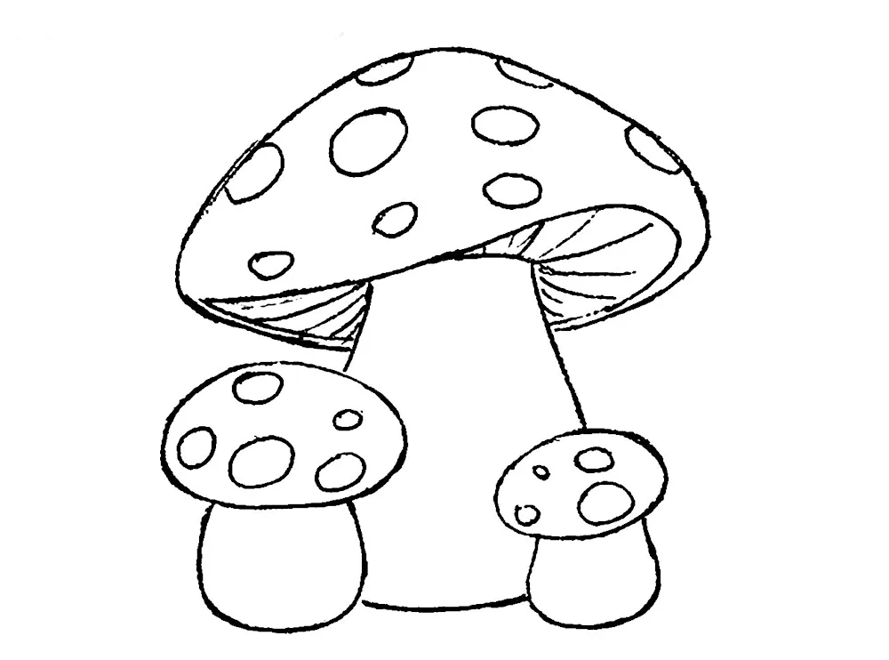 Fly mushroom colouring