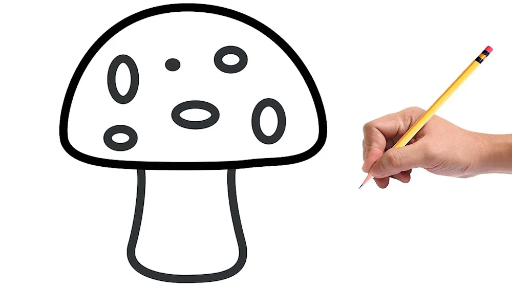 Mushroom indie KID