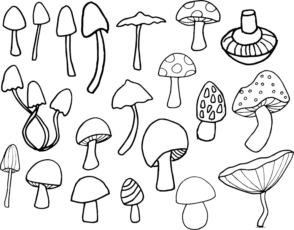 Drawing mushrooms in the older group