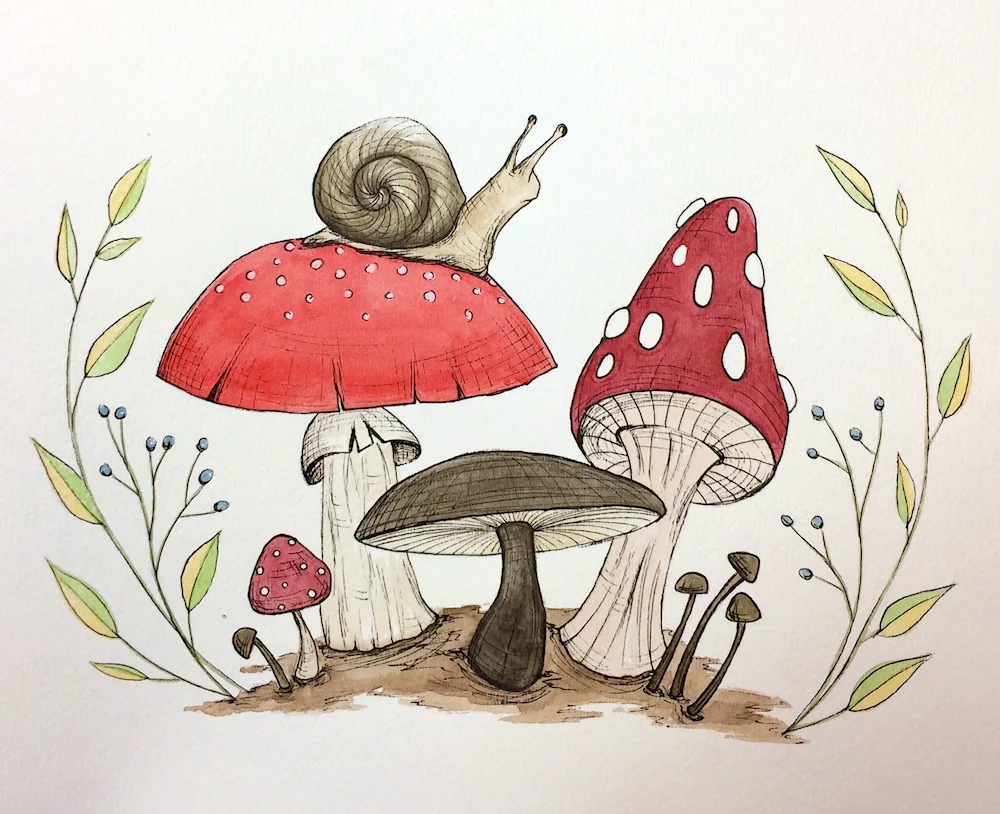 Fly mushroom drawing