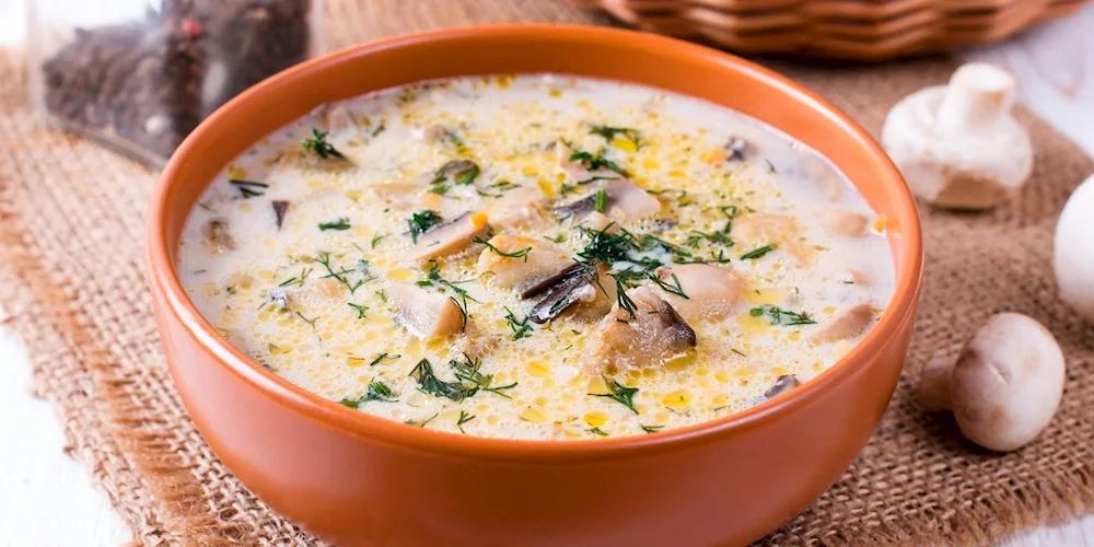 Mushroom cream soup