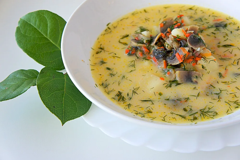 Mushroom cream soup
