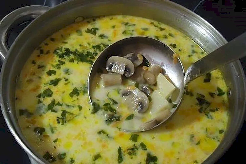 Cheese soup with mushroom cream soup