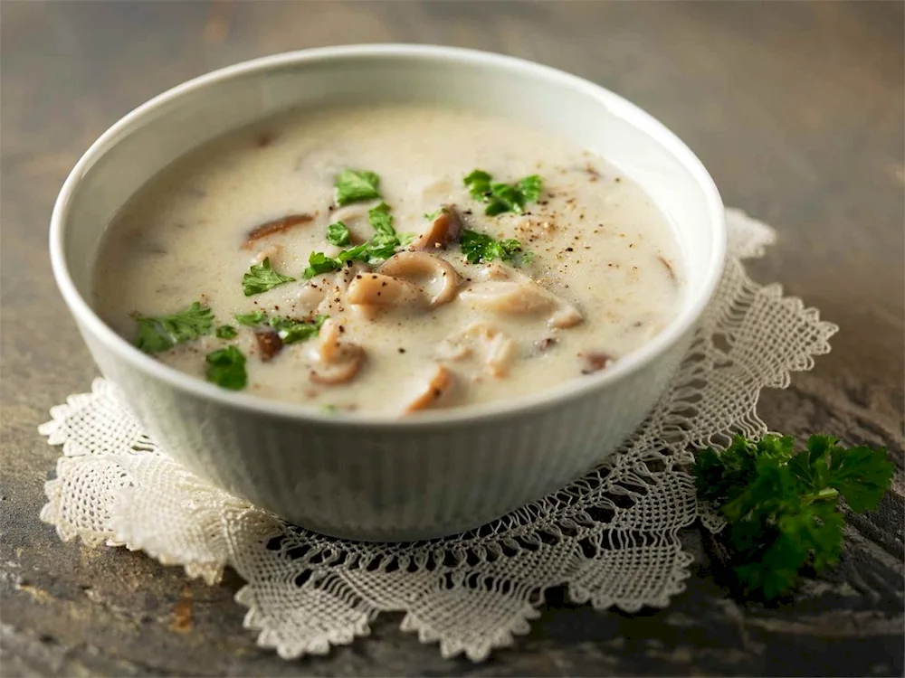 Mushroom mushroom soup