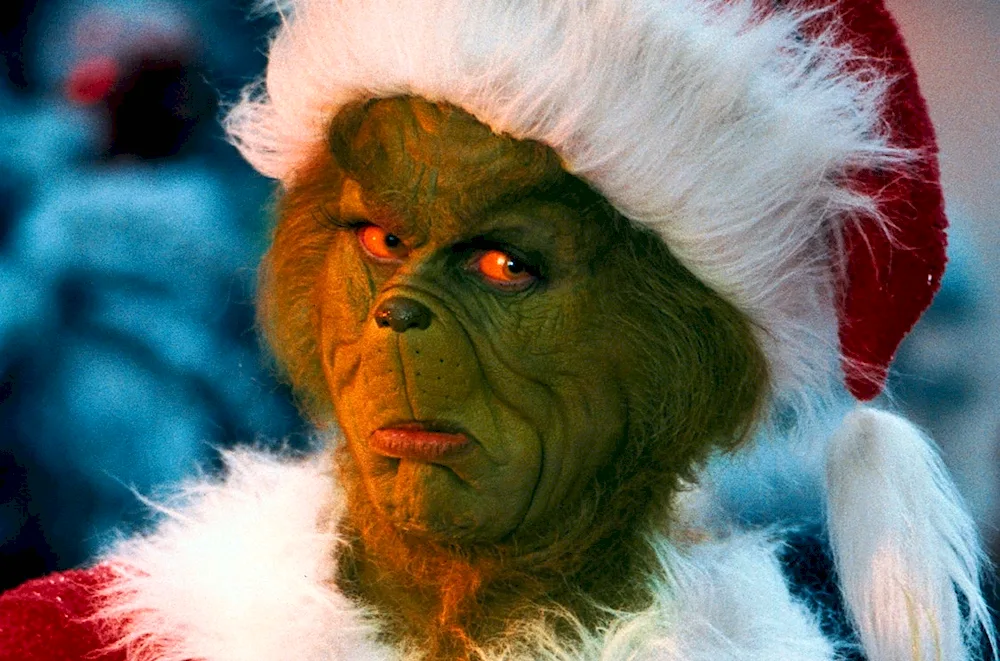 Grinch the Christmas Kidnapper