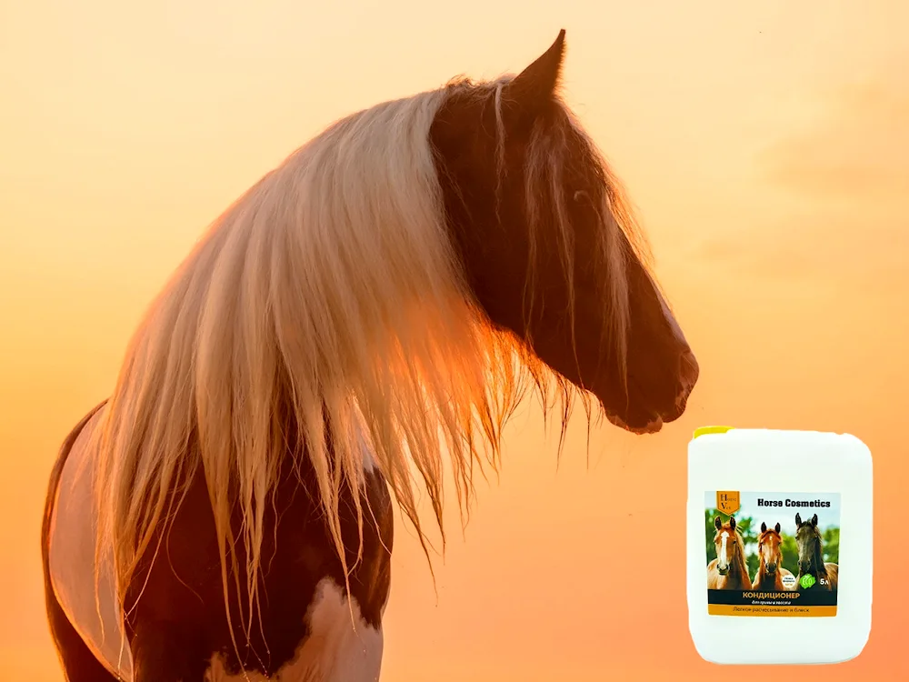 Horse mane