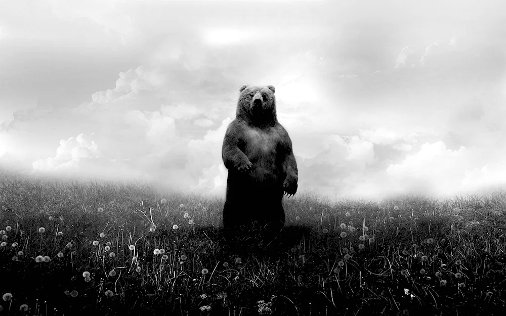 Grizzly bear