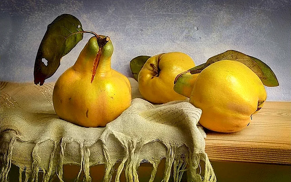 Fruit still life