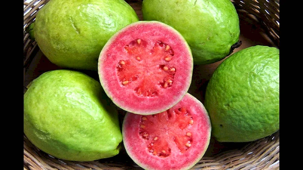 Starfruit Carambola