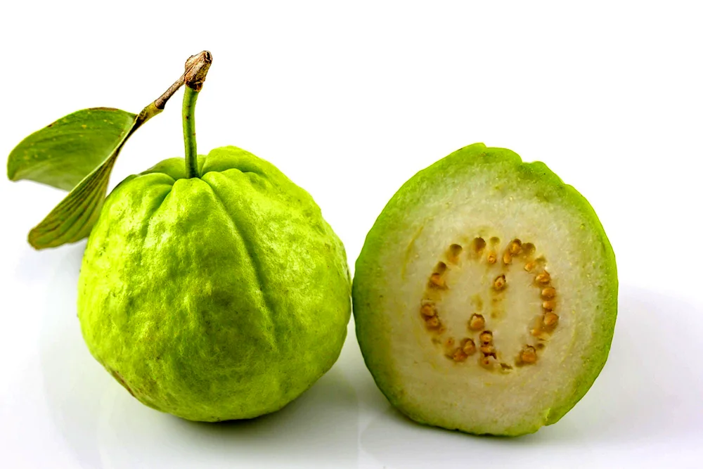 Lime citrus fruit