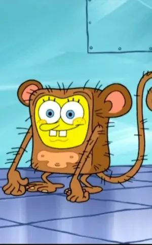 SpongeBobSpongeBob cartoon