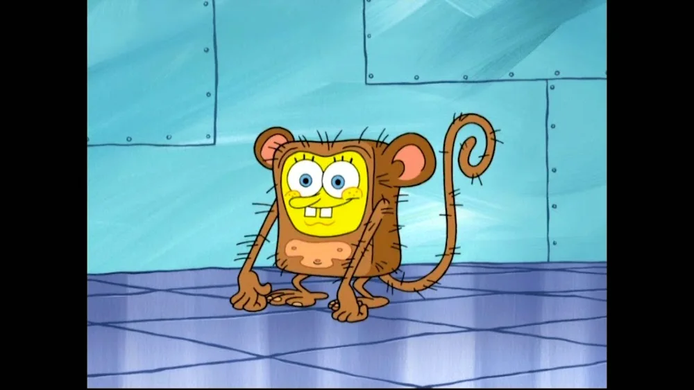 SpongeBobSpongeBob cartoon