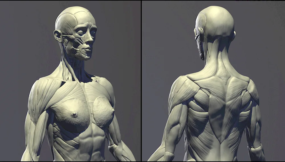 Saitama reference