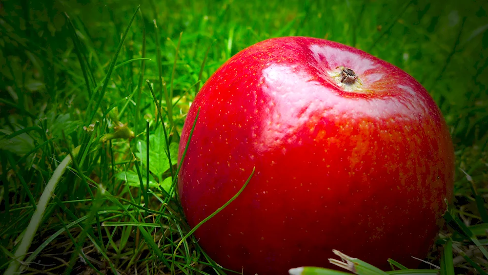 Apple green