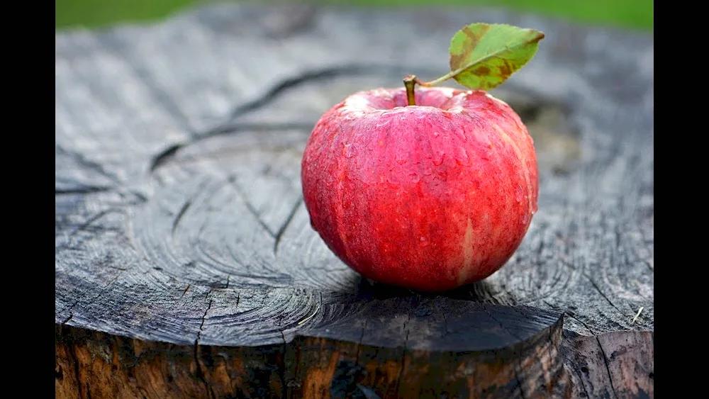 Apple on the green table picture