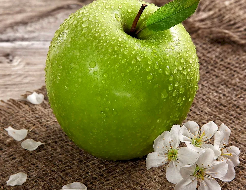 Apple on the red background