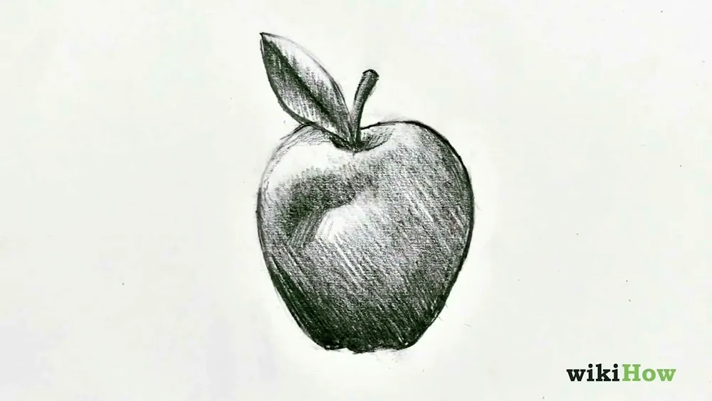 Apple sketch