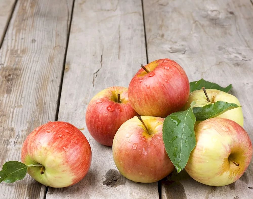 Chingiz Aitmatov apple