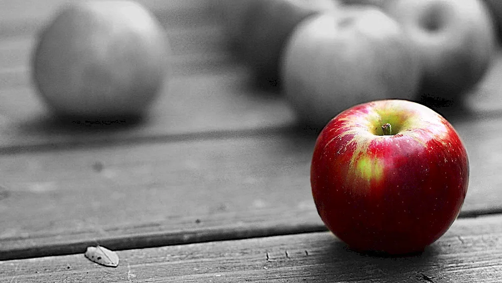 Fruit on a black background pictures