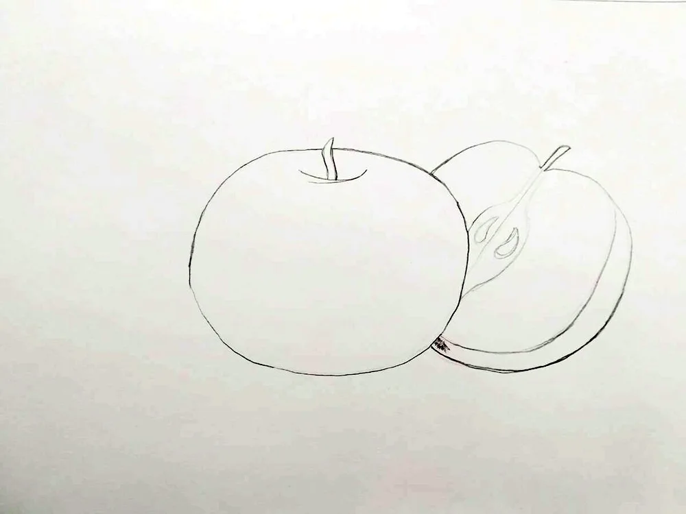 Apple still life pencil