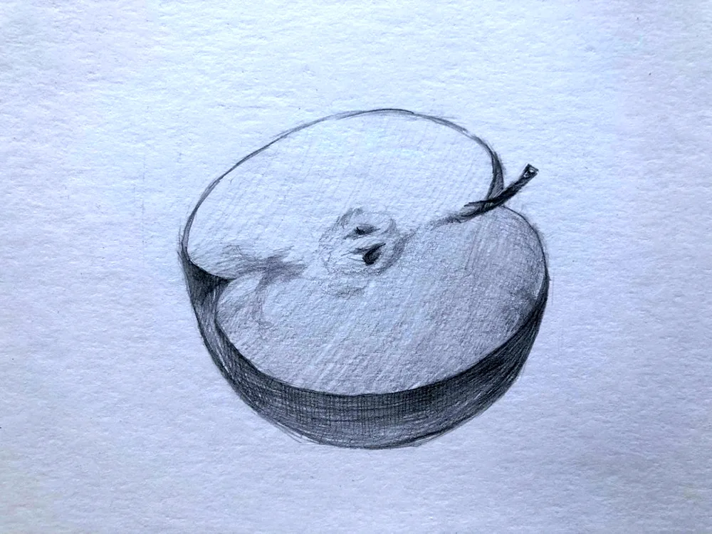 Apple with coloured pencil pencil drawing with pencil easy.