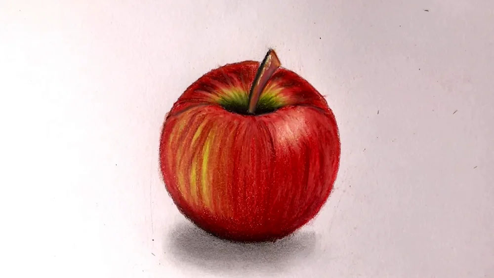 Apple drawing realistic