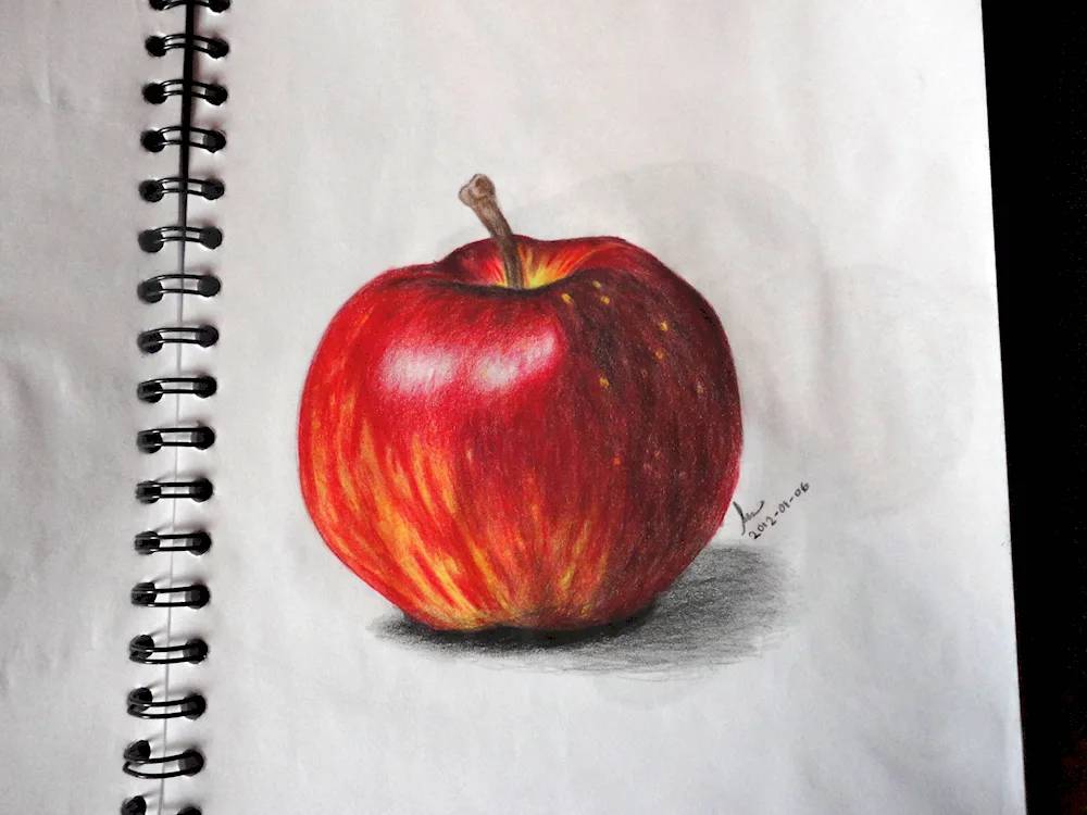 Apple with coloured pencils