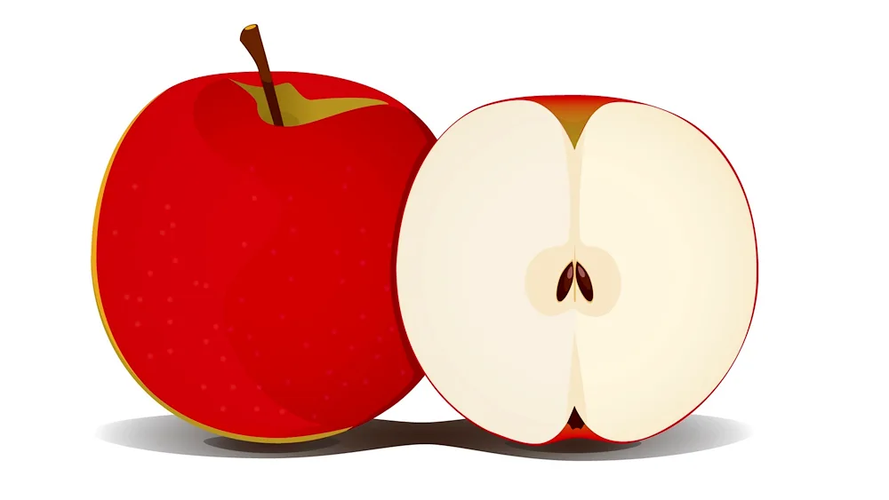 Succulent apple