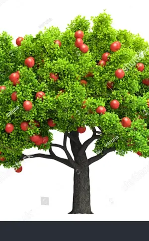 apple tree