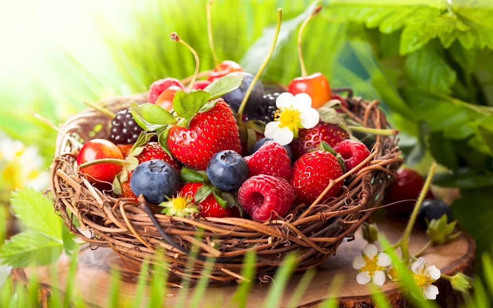 A basket of apples