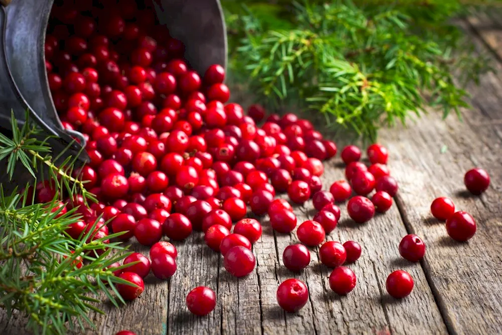 Lingonberries and cranberries