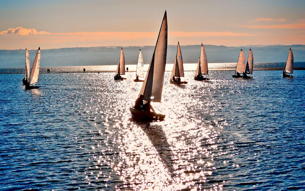 Yacht sailing regatta