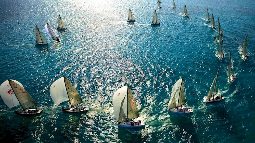 Yacht sailing regatta