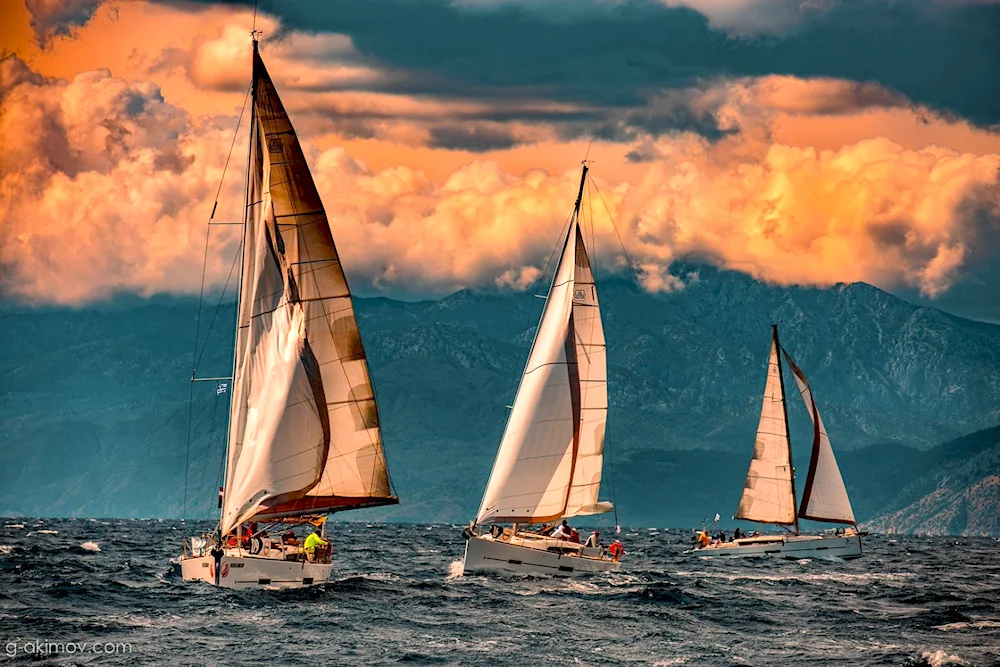 Yacht regatta