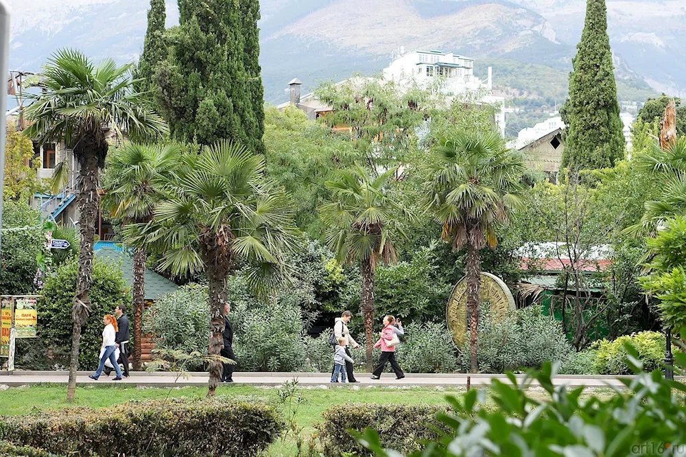 Yalta palms