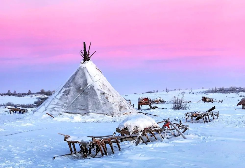 Yamal tundra nenets