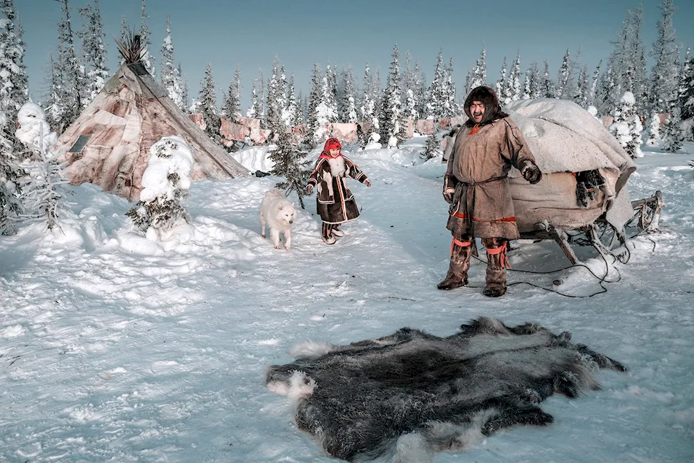 Yamal tundra nenets