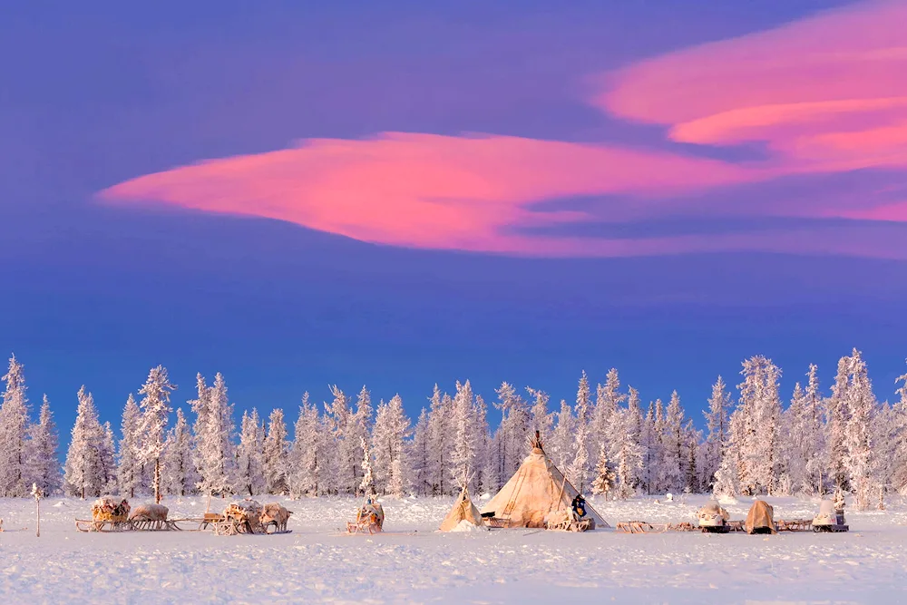 Yamalo- Nenets Autonomous Okrug tundra