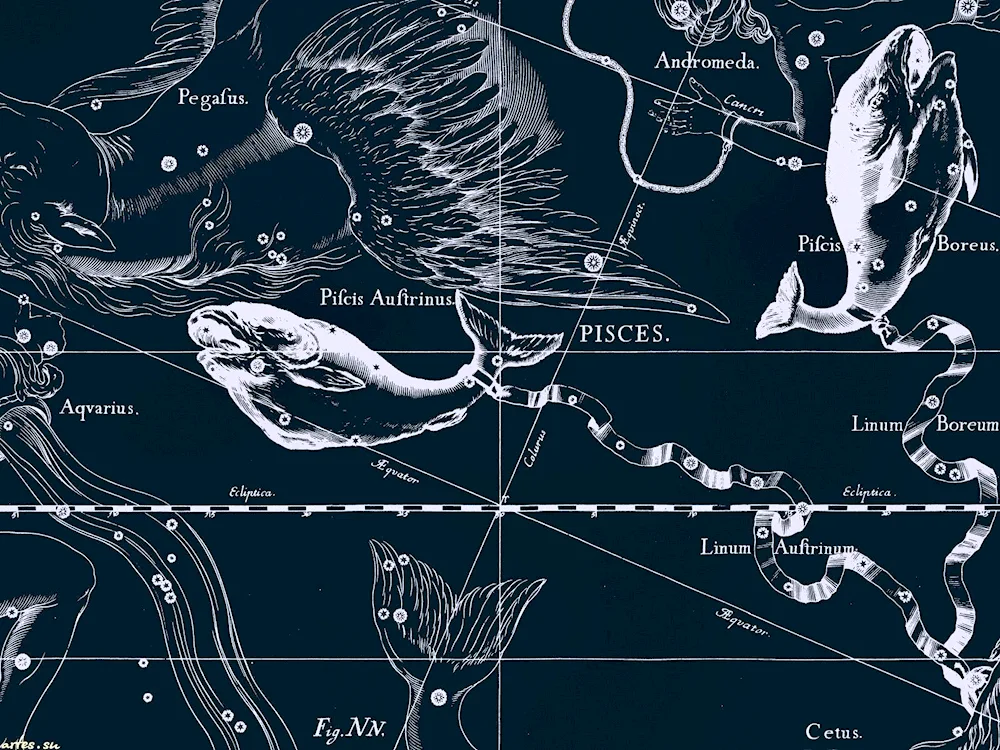 Jan Hevelius atlas of fish constellations