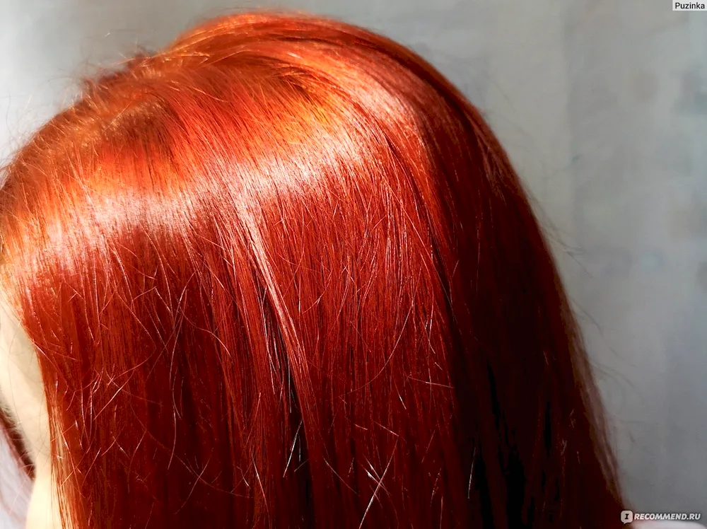Yantarno dark red garnier