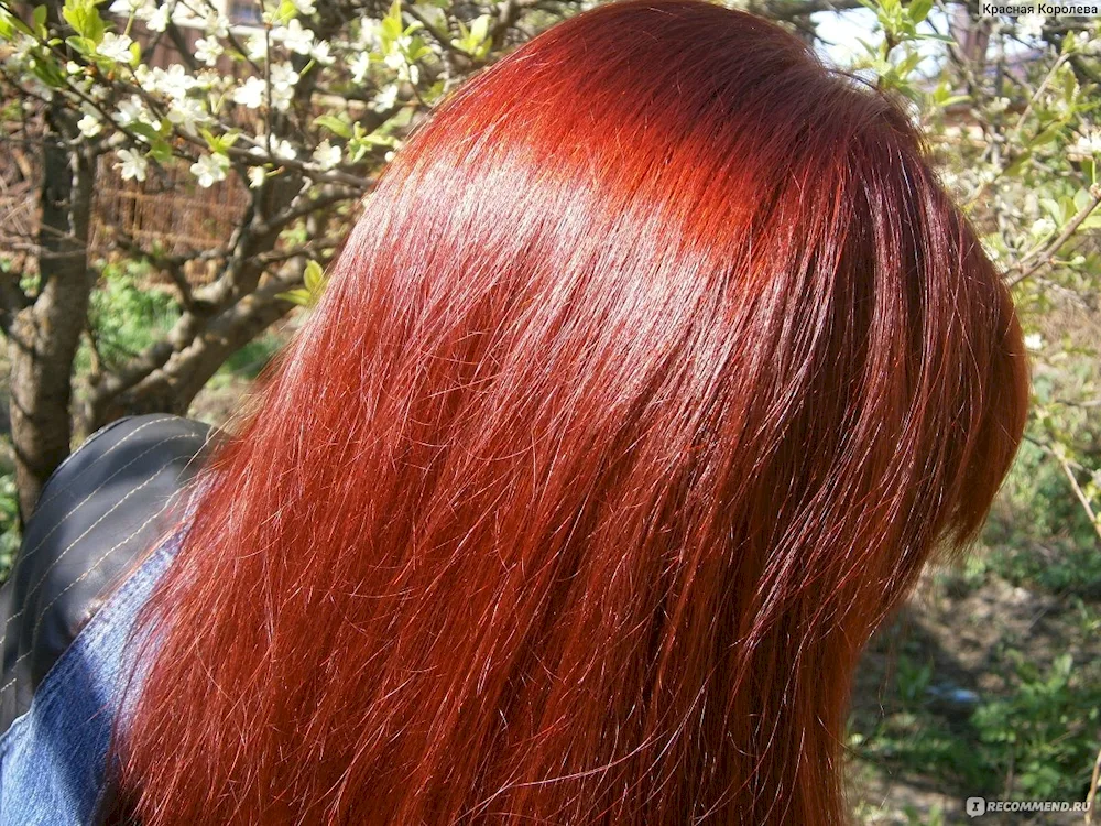 Ashley Greene with burgundy hair
